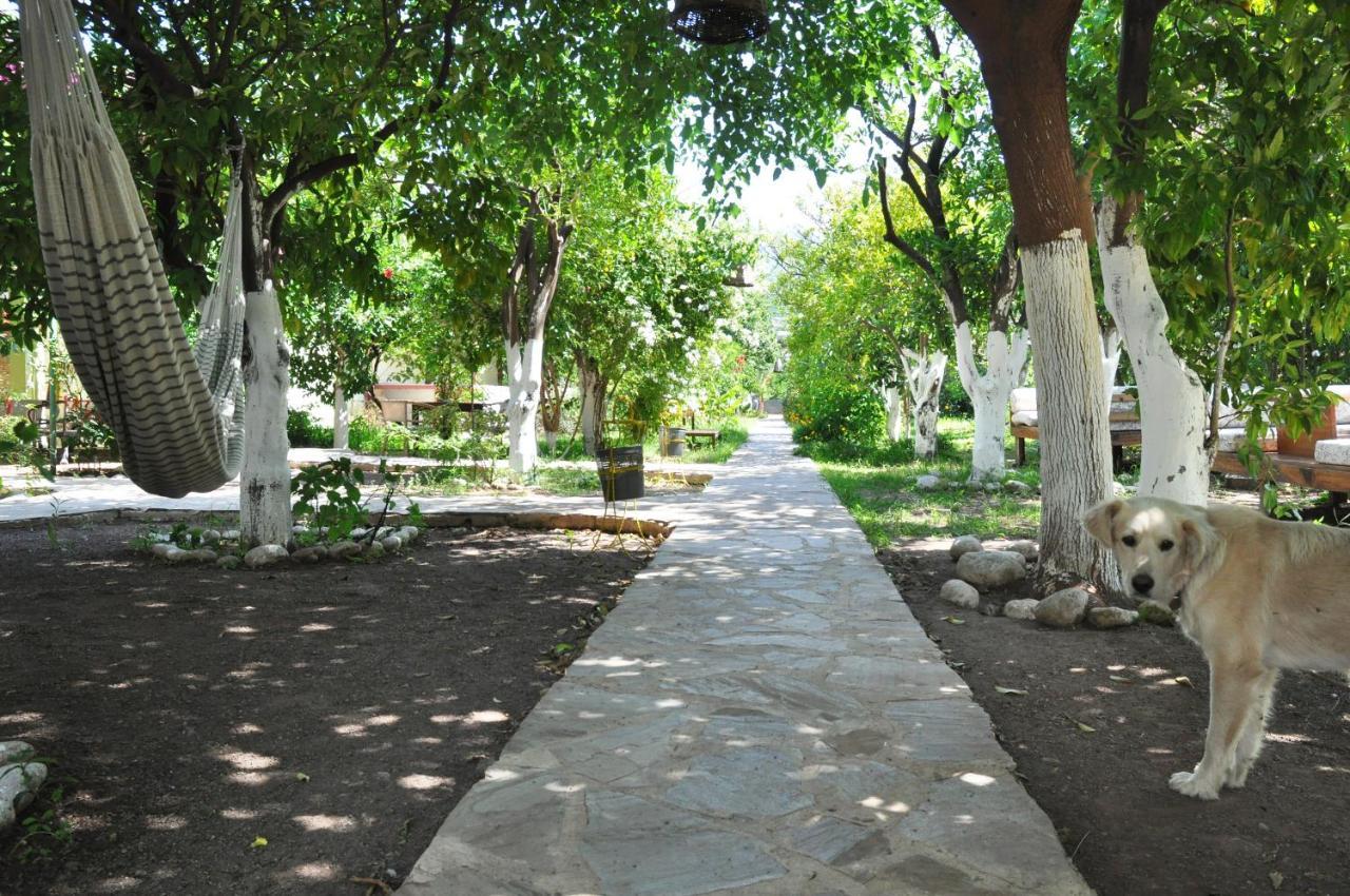 San Simon Hotel Çıralı Εξωτερικό φωτογραφία