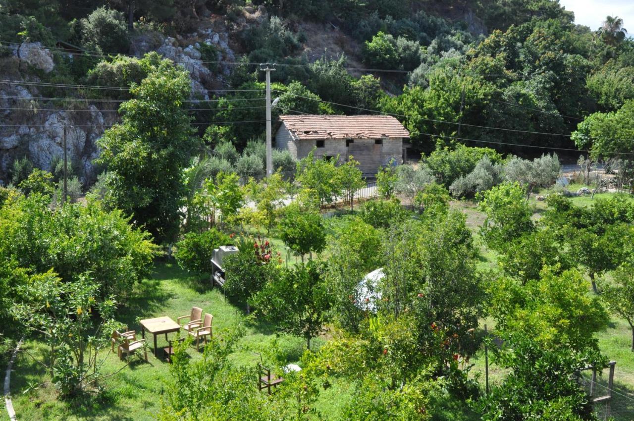 San Simon Hotel Çıralı Εξωτερικό φωτογραφία