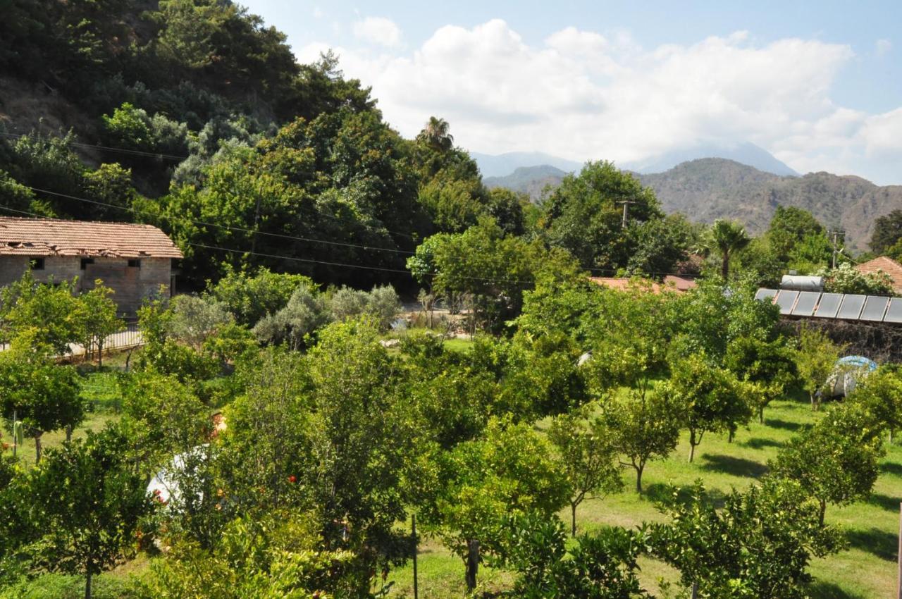 San Simon Hotel Çıralı Εξωτερικό φωτογραφία