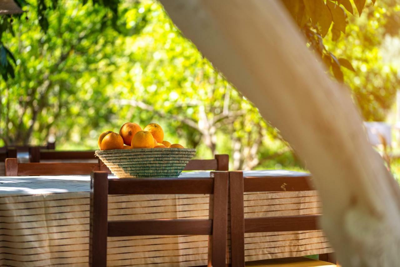 San Simon Hotel Çıralı Εξωτερικό φωτογραφία