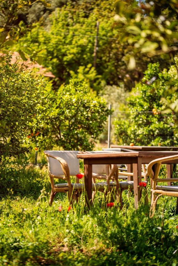 San Simon Hotel Çıralı Εξωτερικό φωτογραφία