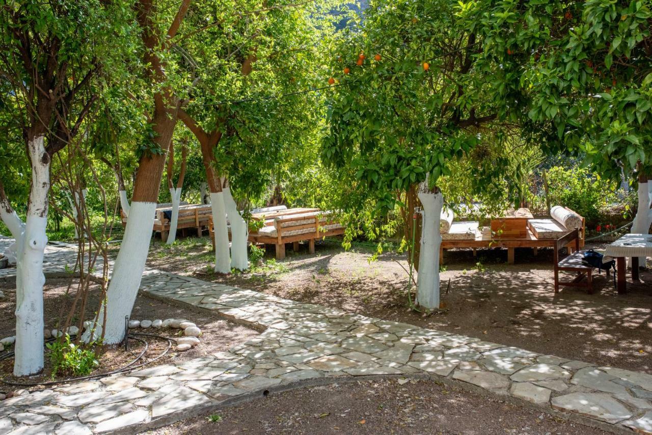 San Simon Hotel Çıralı Εξωτερικό φωτογραφία