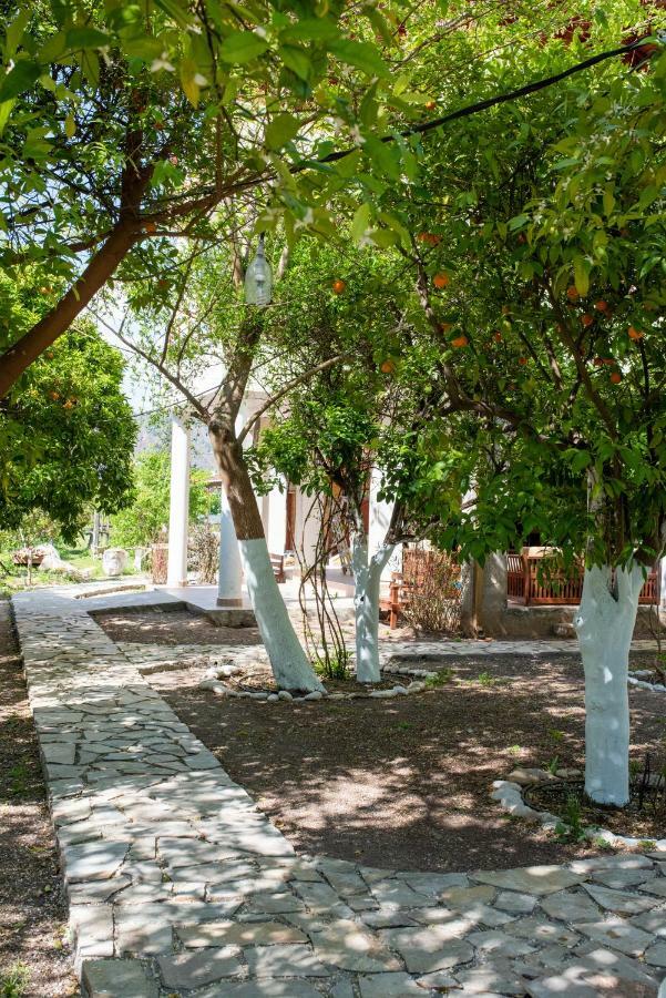 San Simon Hotel Çıralı Εξωτερικό φωτογραφία